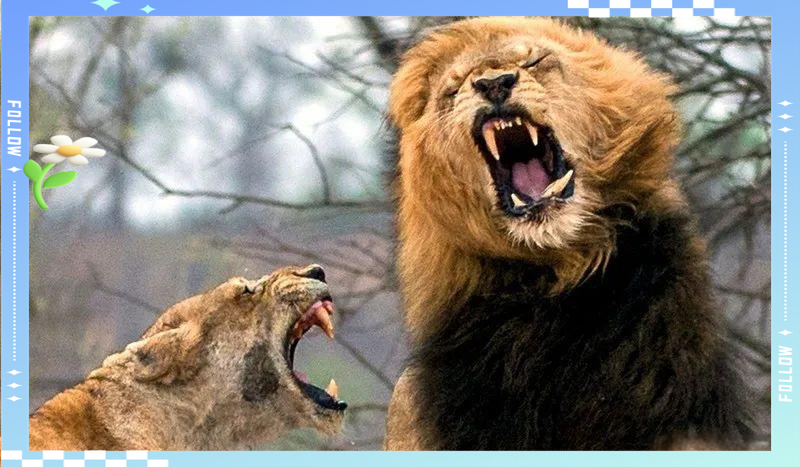 九游游戏平台首页-顶级对决 韩国